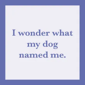 Coaster - I Wonder What My Dog Named Me