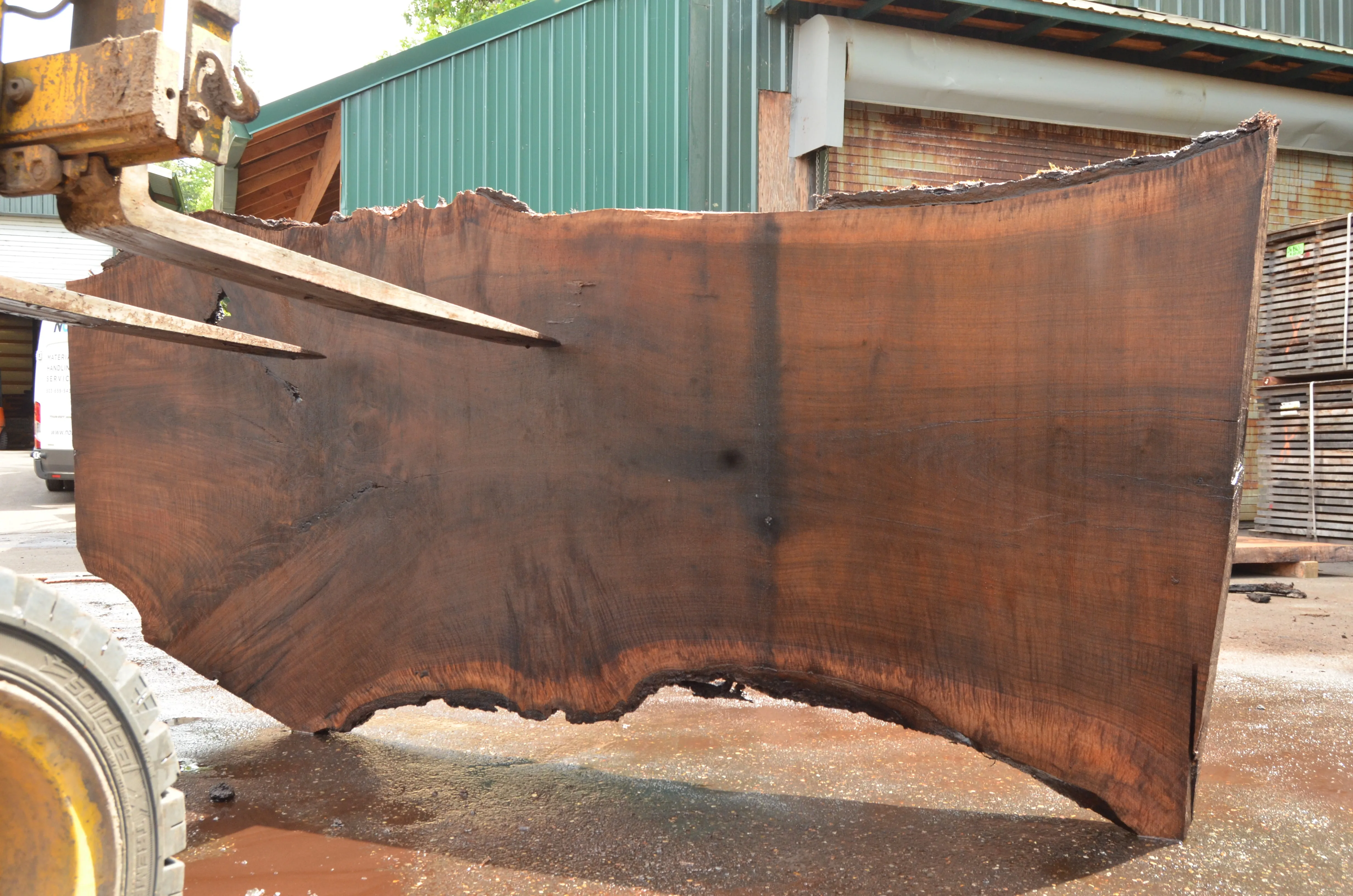 Oregon Black Walnut Slab 060322-02