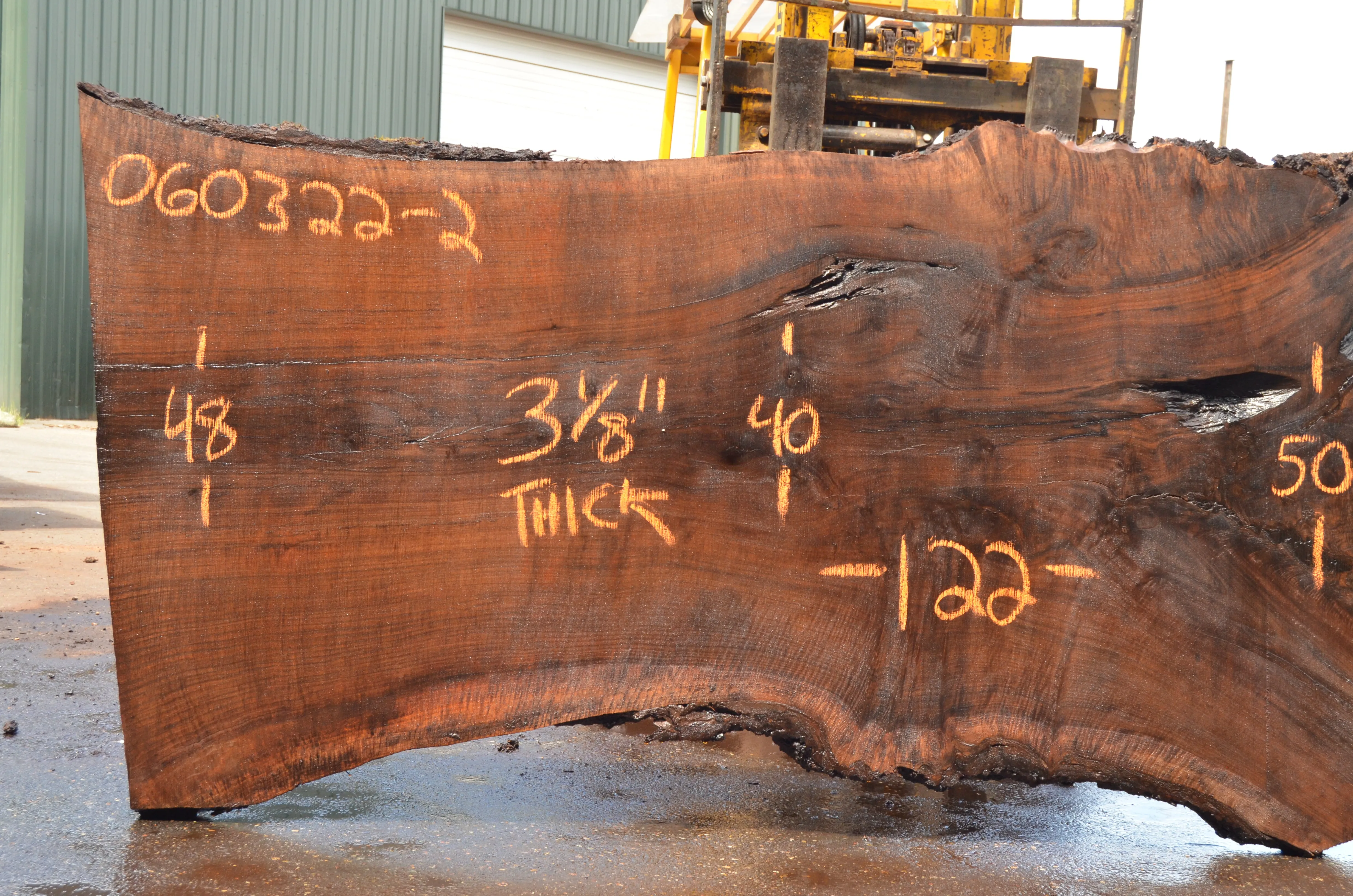 Oregon Black Walnut Slab 060322-02