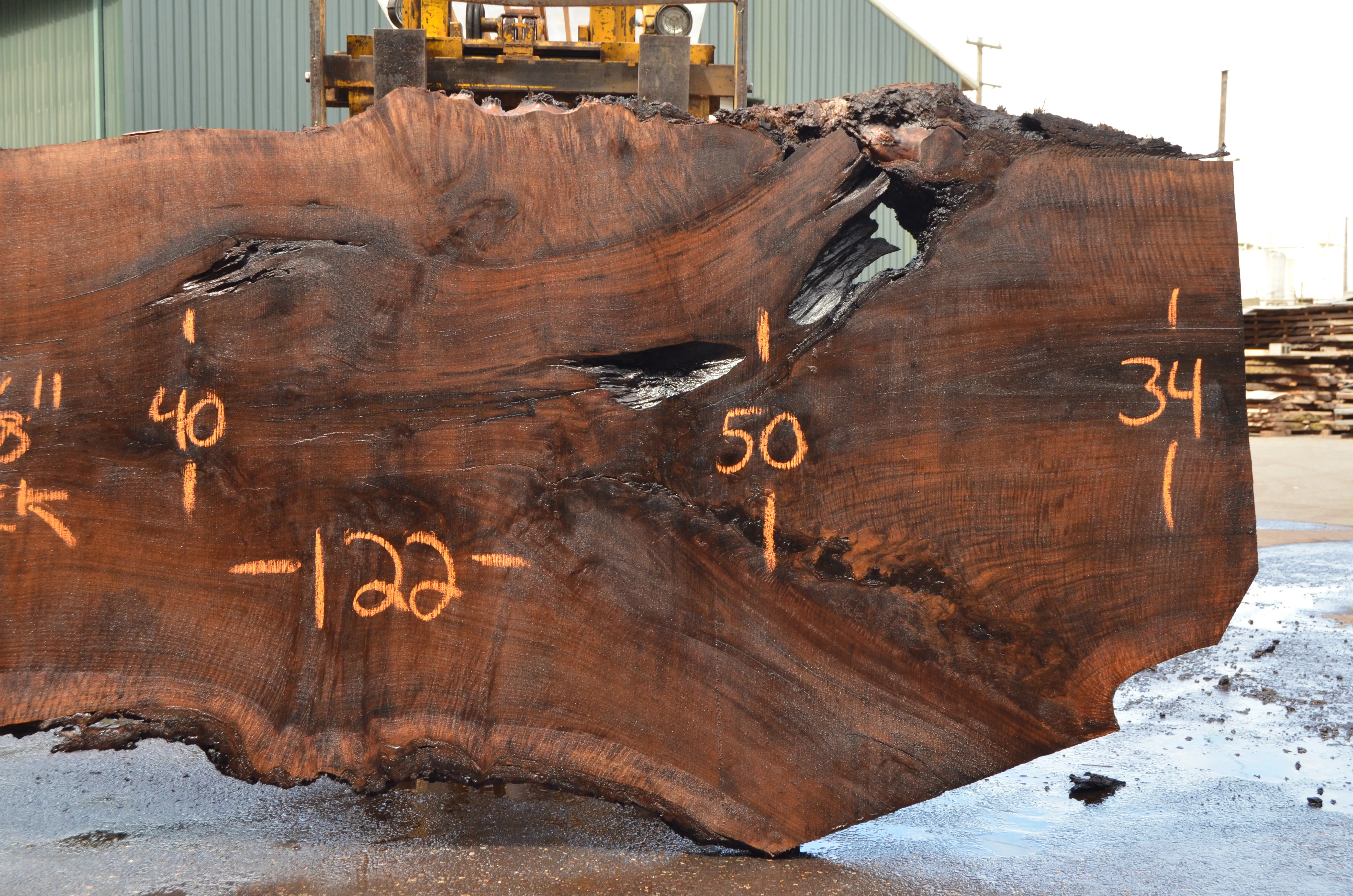 Oregon Black Walnut Slab 060322-02